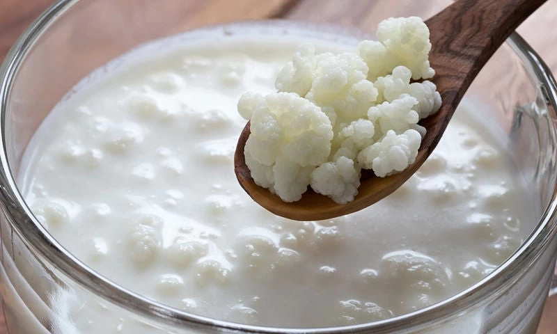 Κεφίρ: Οι ευεργετικές ιδιότητές τους και γιατί πρέπει να το εντάξετε στη διατροφή σας